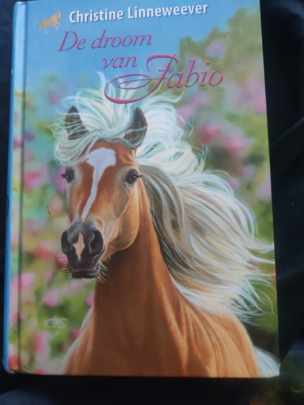 Christine Linneweever - De droom van Fabio, Ophalen of Verzenden, Zo goed als nieuw, Christine Linneweever