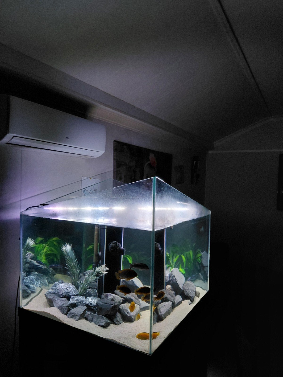 aquarium:  unieke designbak, Ophalen, Gebruikt, Leeg aquarium