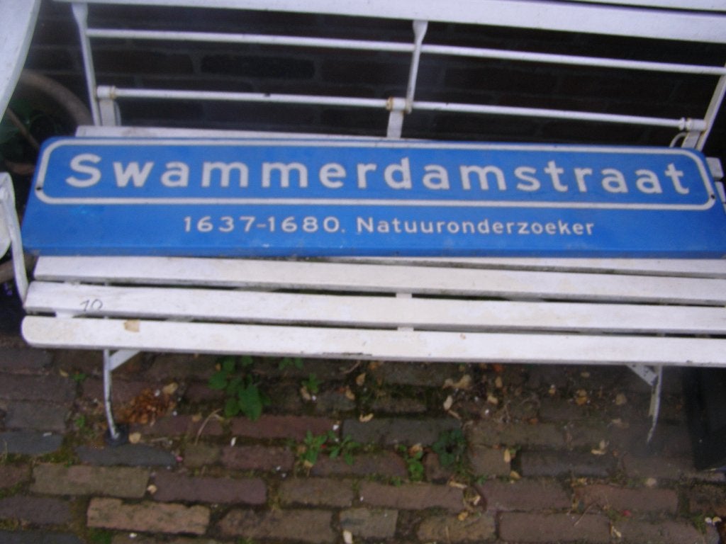 straatnaambord Swammerdamstraat Amsterdam,  geen emaille, Ophalen, Gebruikt, Overige typen
