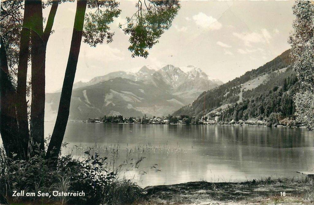 701-460-023 Zell am See, Verzamelen, Verzenden, Voor 1920, Oostenrijk