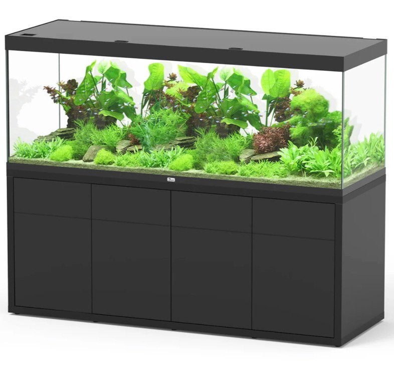 GEZOCHT. 200/300 cm groot aquarium zwart., Ophalen, Zo goed als nieuw, Leeg aquarium