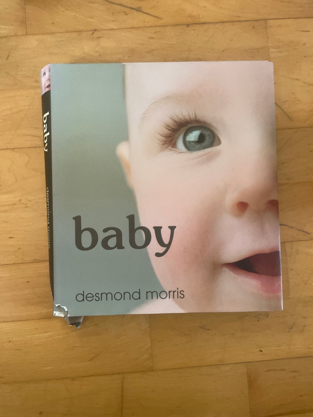 Baby - Desmond Morris (Boek over baby's), Ophalen of Verzenden, Gelezen, Opvoeding tot 6 jaar