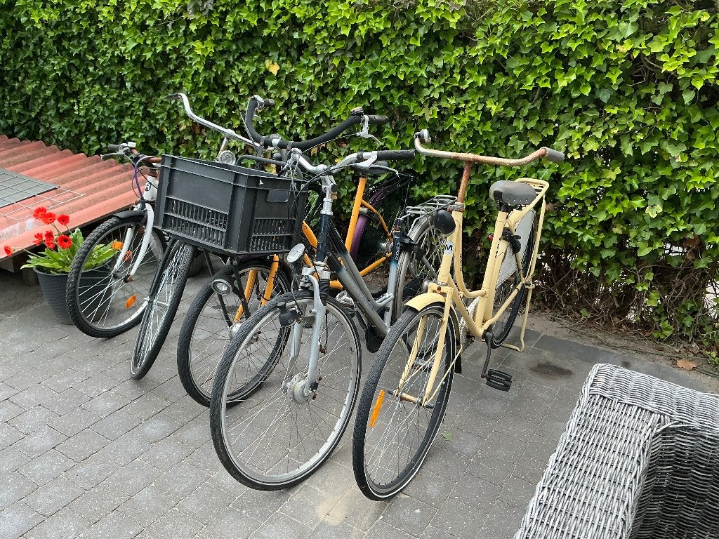 Te koop 4 dames fietsen 1 = 25 euro 4 voor 50 euro, 56 cm of meer, Ophalen, Gebruikt, Overige merken