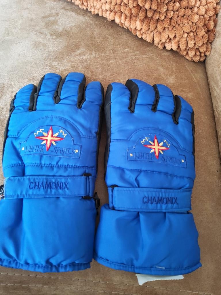 Chamonix Wintersport Handschoenen Maat L - Blauw, Thinsulate, Maat 52/54 (L), Overige typen, Nieuw