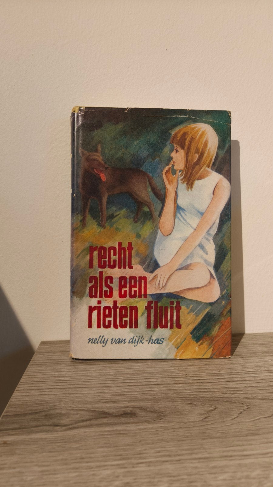 Recht als een rieten fluit - Nelly van Dijk-Has, Boeken, Romans, Ophalen of Verzenden, Gelezen, Nelly van Dijk-Has, Nederland