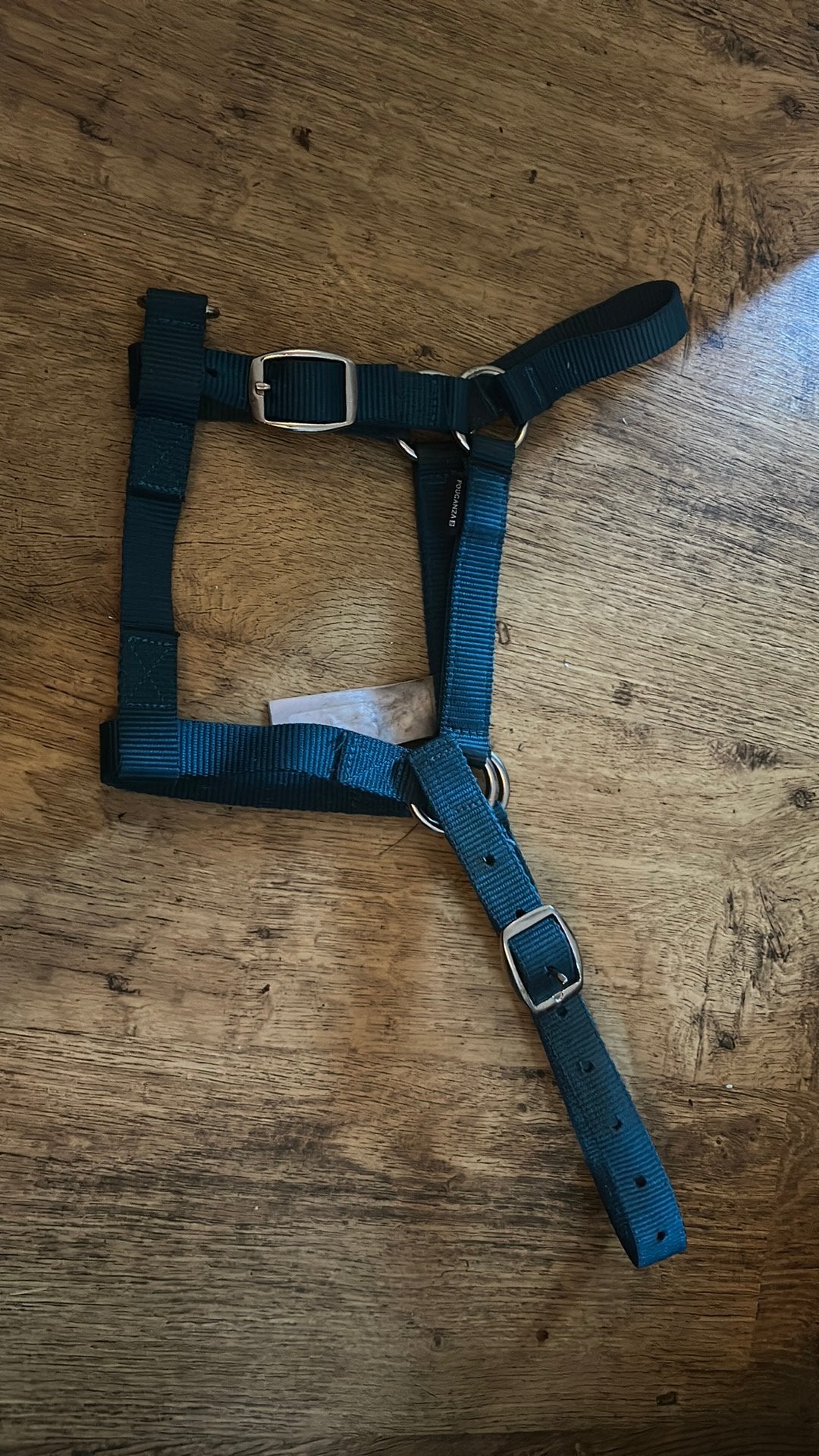 Fouganza halster Cob, Dieren en Toebehoren, Ophalen of Verzenden, Zo goed als nieuw