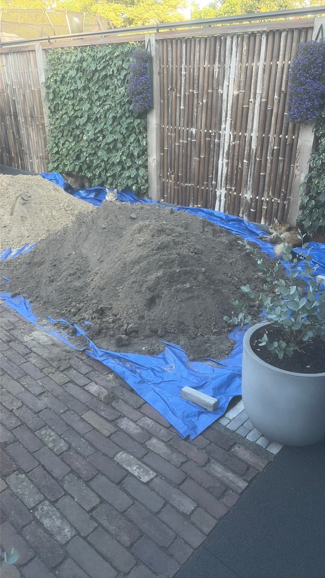 Zwart zand 1,5 kuub, Tuin en Terras, Zand, Ophalen, Gebruikt, Overige typen