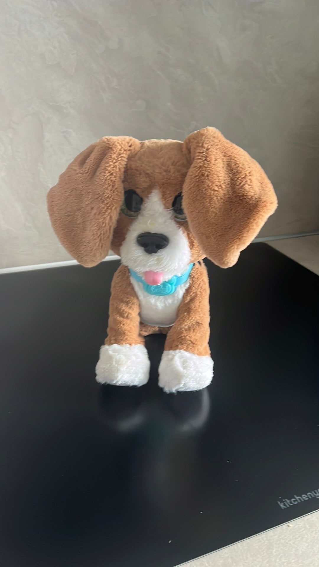 Hond Charly, Ophalen of Verzenden, Zo goed als nieuw, Hond