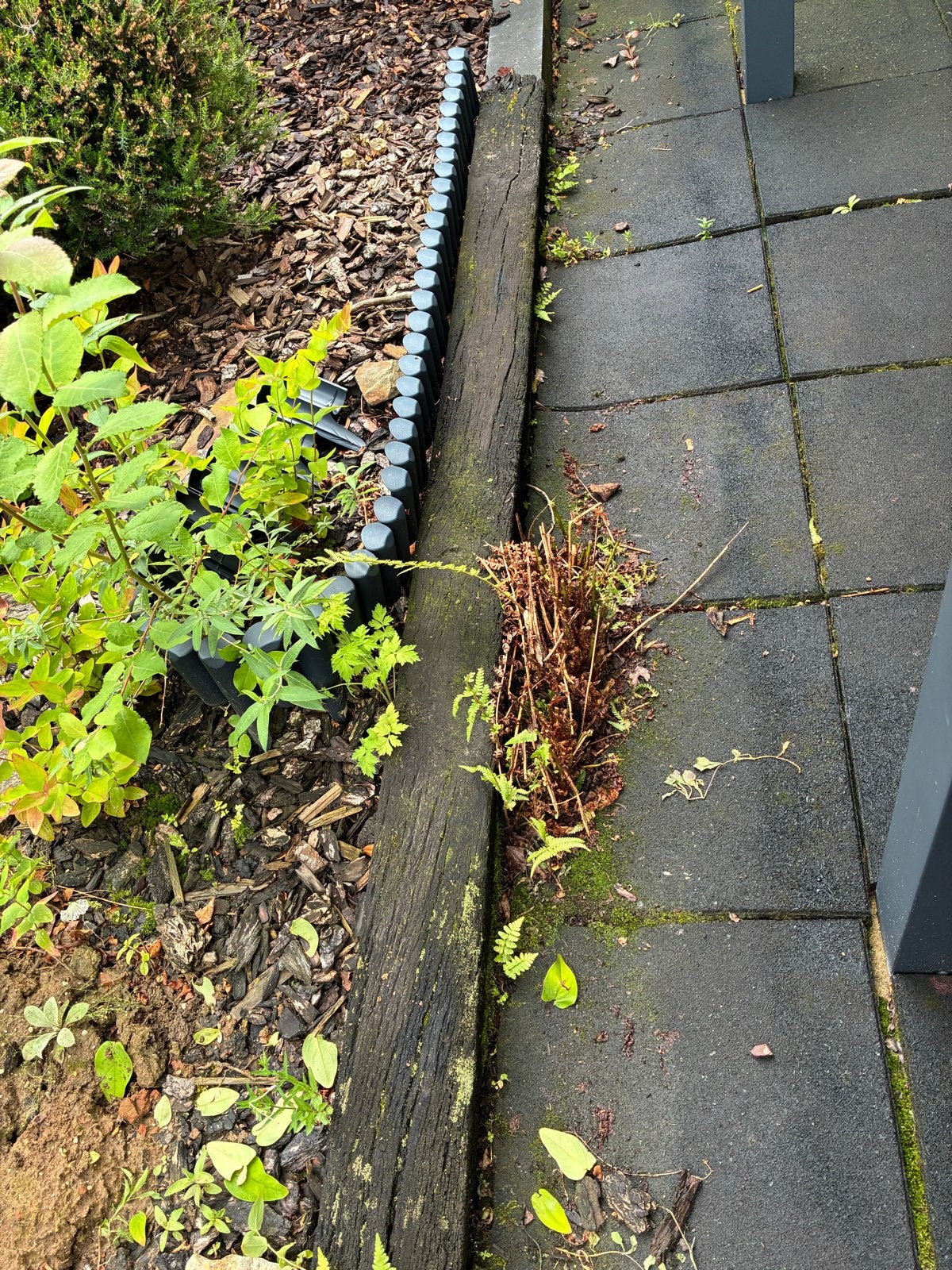 GRATIS Houten bielzen voor tuin of terras, Ophalen, Gebruikt, 100 tot 200 cm, Biels