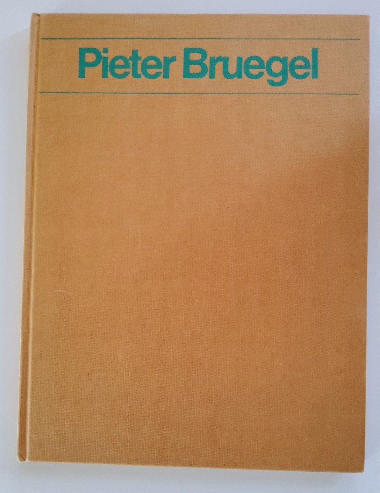 Pieter Bruegel Kunstboek - Geïllustreerd, Boeken, Kunst en Cultuur | Beeldend, Ophalen of Verzenden, Gelezen, Schilder- en Tekenkunst