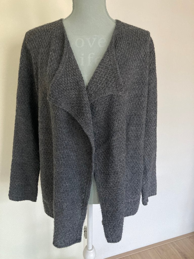 Vest - Gerry Weber, Maat 38/40 (M), Ophalen of Verzenden, Grijs, Gedragen