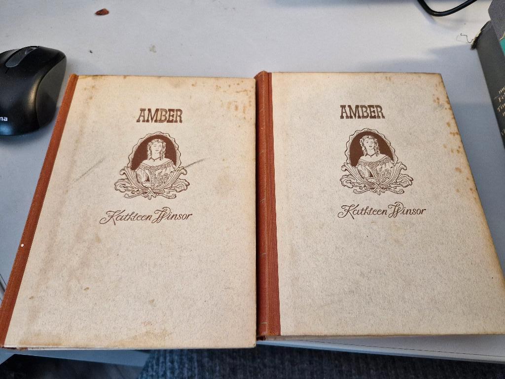 Amber, Ophalen of Verzenden, Gelezen
