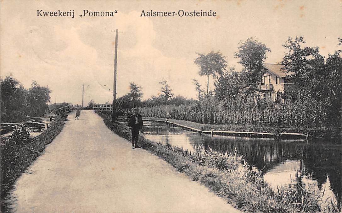 Aalsmeer-Oosteinde Kwekerij "Pomona", Ophalen of Verzenden, Voor 1920, Gelopen, Noord-Holland