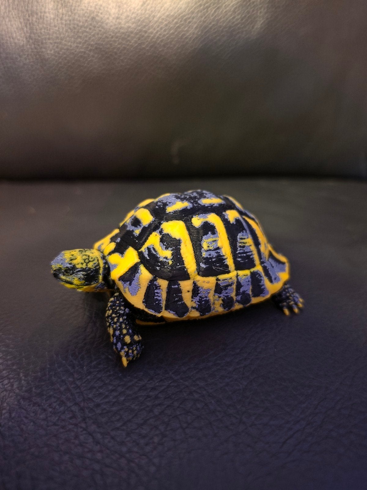 schildpad  3D-print, Slang, 0 tot 2 jaar