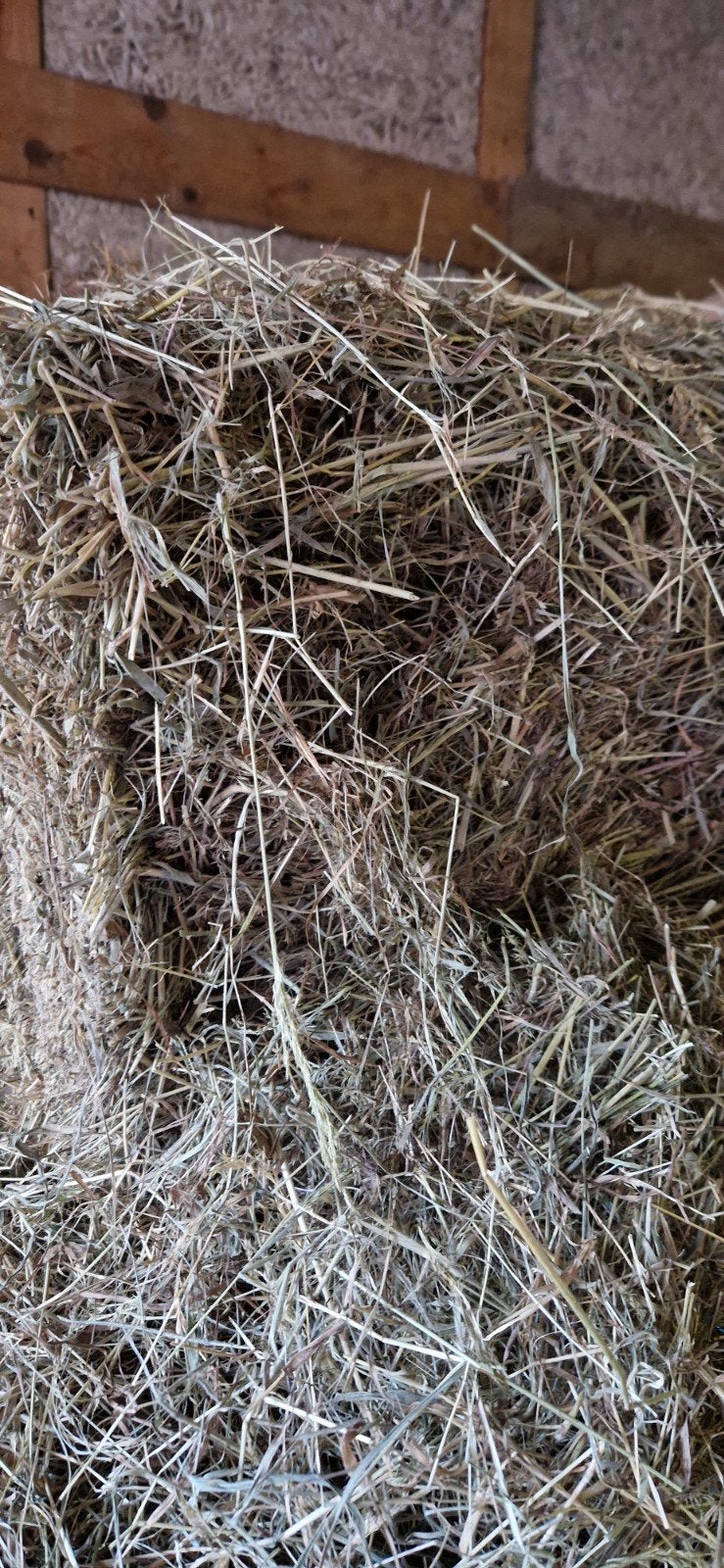 9 mooie pakjes 1e snee hooi., Ophalen, Vee