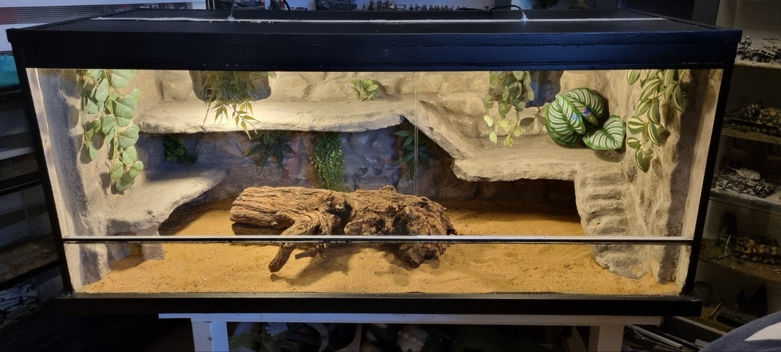 terrarium 120x50x50, Dieren en Toebehoren, Ophalen of Verzenden