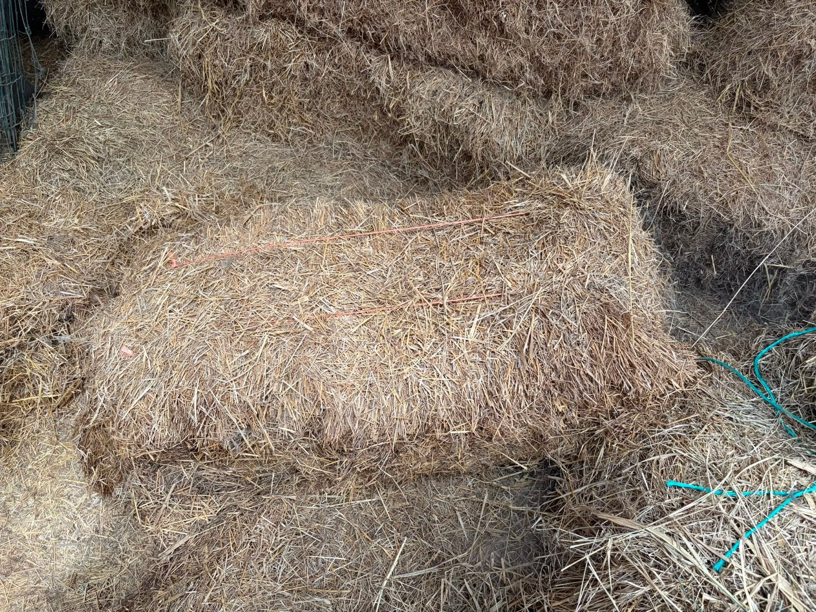 Gratis Oud, overjarig hooi, Tuin en Terras, Aarde en Mest, Ophalen of Verzenden