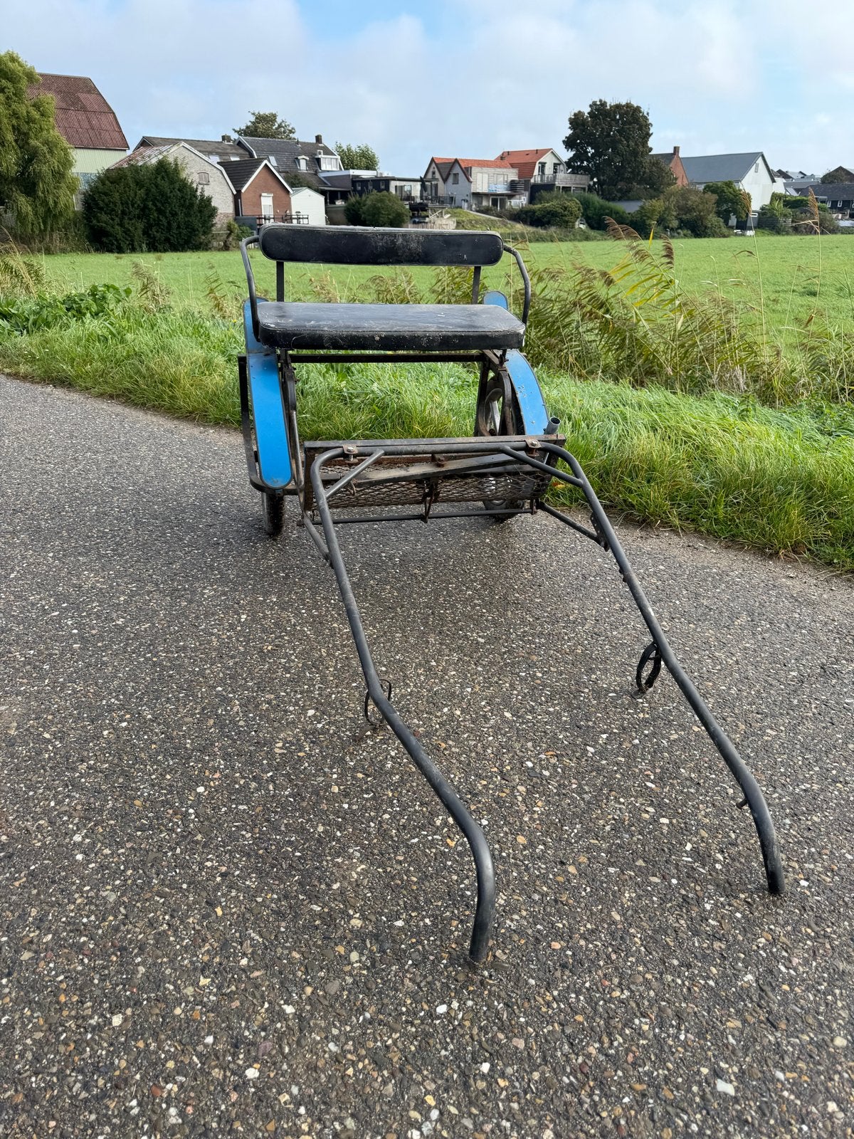 Pony menwagem