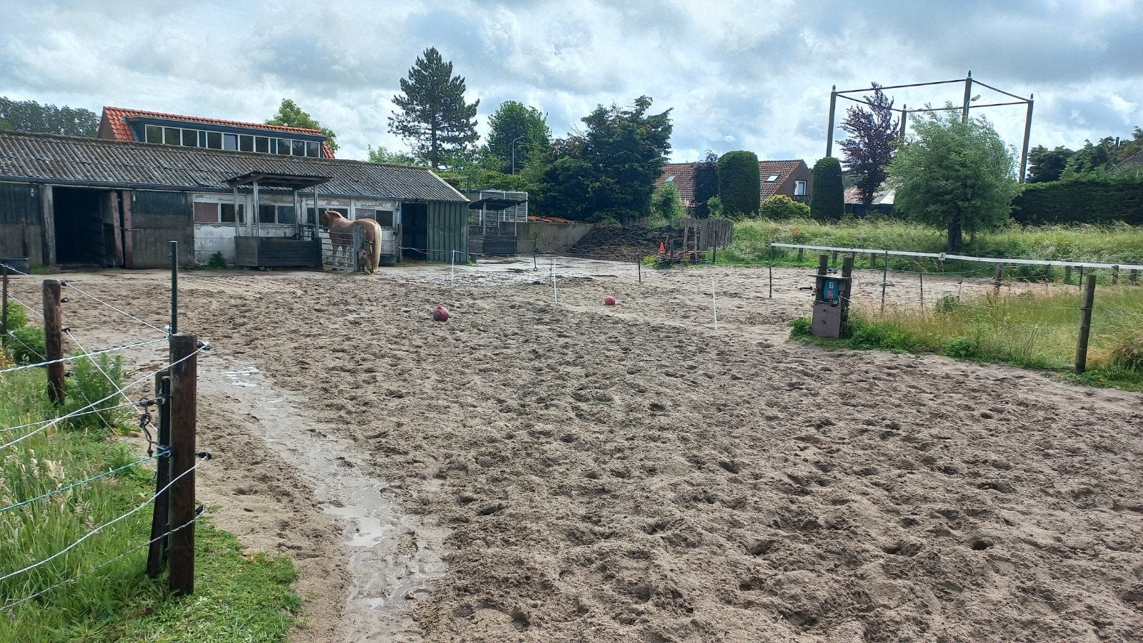 Pony pensionplek aangeboden voor ruin.