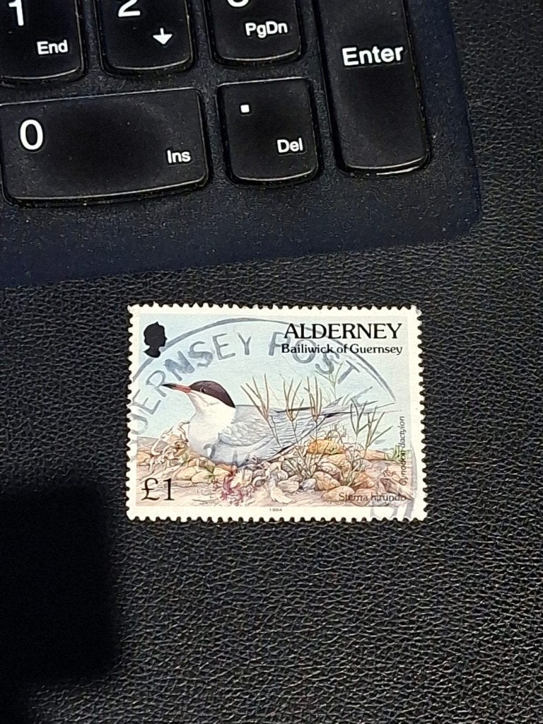 Alderney gestempeld -- nr. 81, Ophalen of Verzenden, Gestempeld