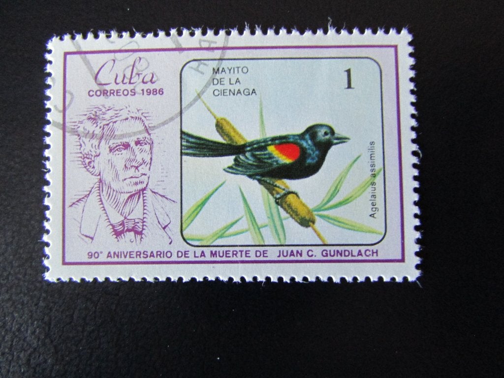 Postzegel Vogel: Roodschouder-Troepiaal uit Cuba, Ophalen of Verzenden, Gestempeld, Dier of Natuur
