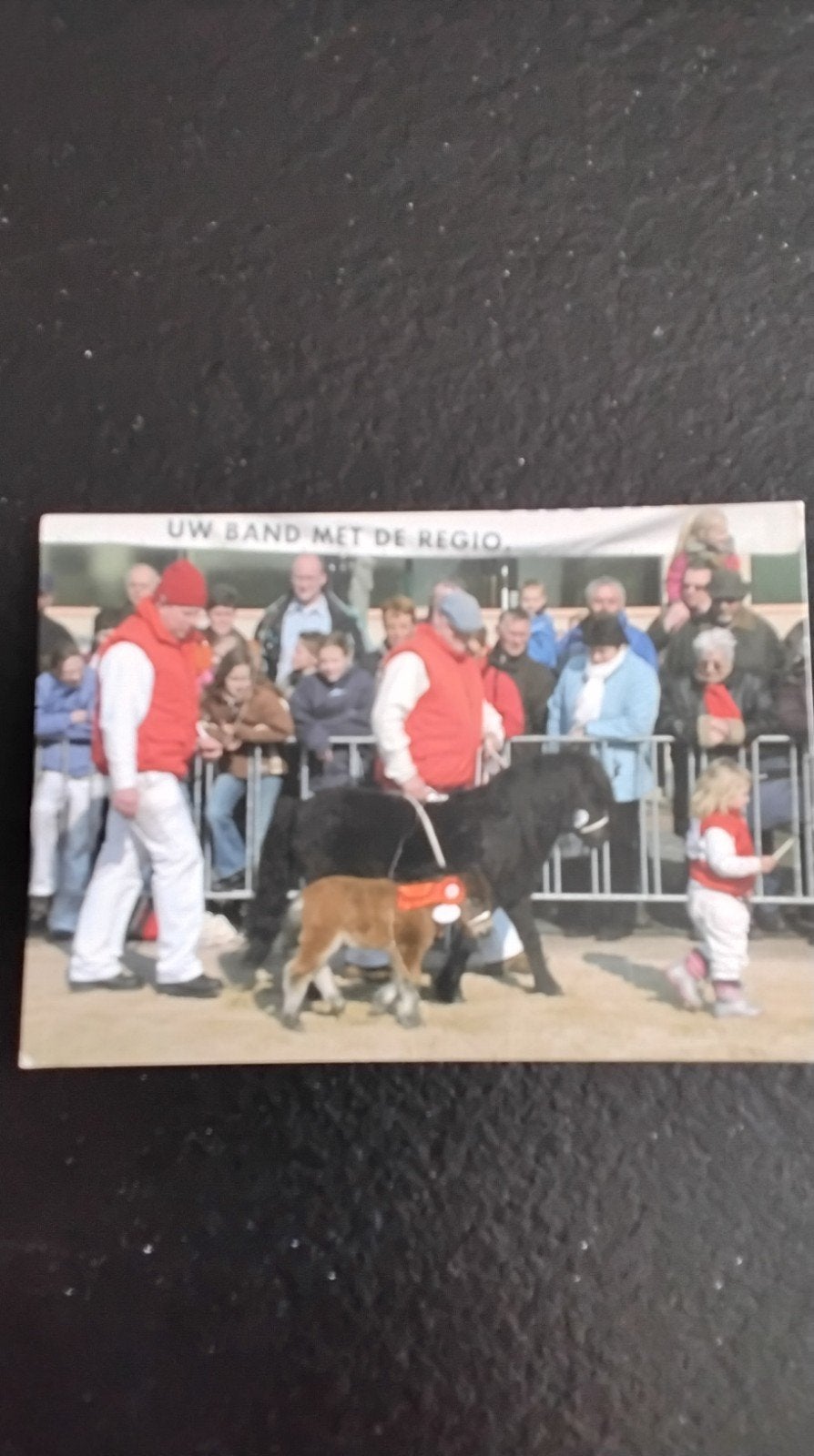 Fokpaardendag Weert Ansichtkaart - Ongelopen 6 stuks, Verzamelen, Ophalen of Verzenden, 1980 tot heden, Ongelopen, België en Luxemburg