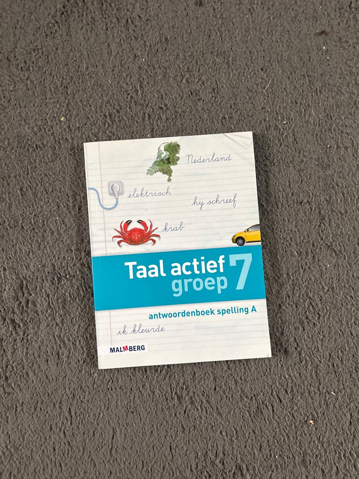 TaaL actief groep 7 antwoordenboek spelling A onbeschreven, Ophalen of Verzenden, Nieuw, Overige niveaus, Nederlands