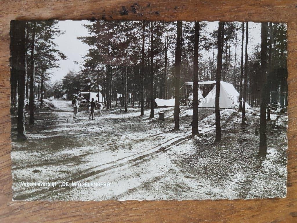 Ansichtkaart Hoenderloo Vakantieverblijf De Miggelenberg, Ophalen of Verzenden, 1940 tot 1960, Gelopen, Noord-Brabant