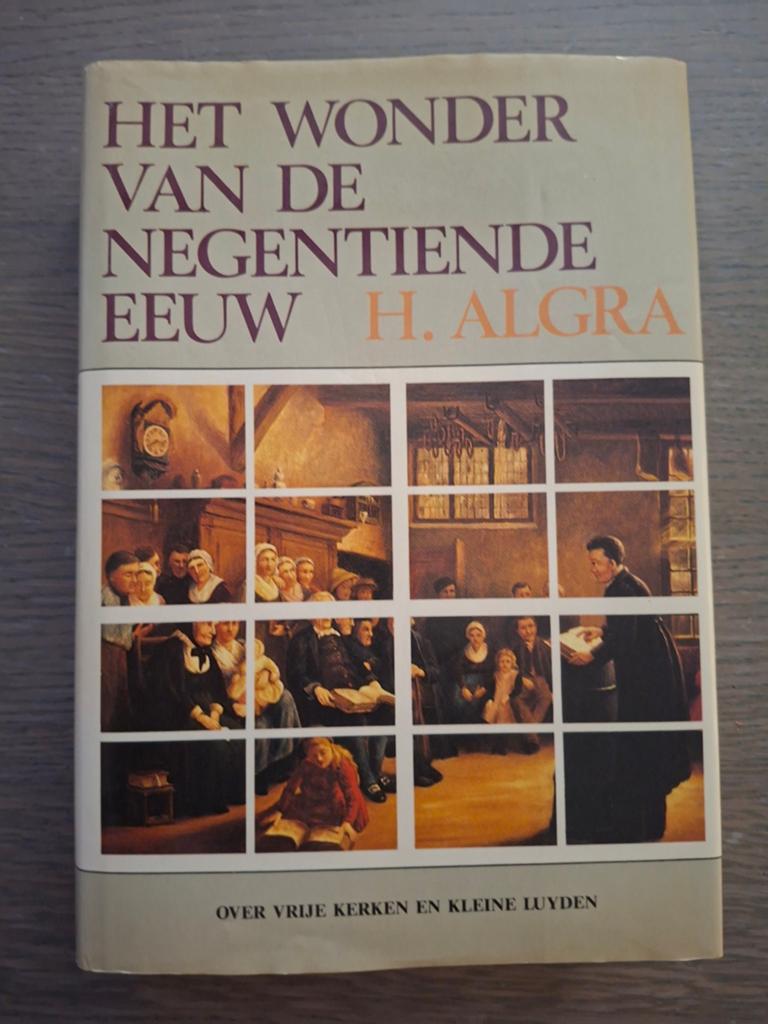 Het Wonder van de Negentiende Eeuw - H. Algra, Boeken, Ophalen of Verzenden, 20e eeuw of later, Gelezen, H. Algra