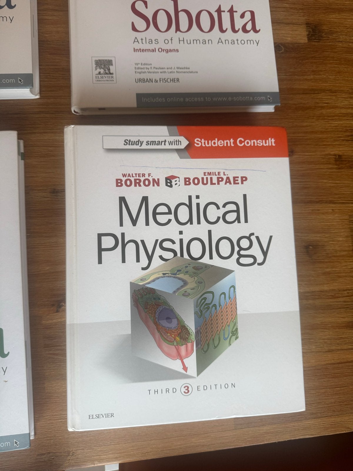 Medical Physiology Boron & Boulpaep - Derde Editie, Ophalen of Verzenden, Beta, Zo goed als nieuw, WO
