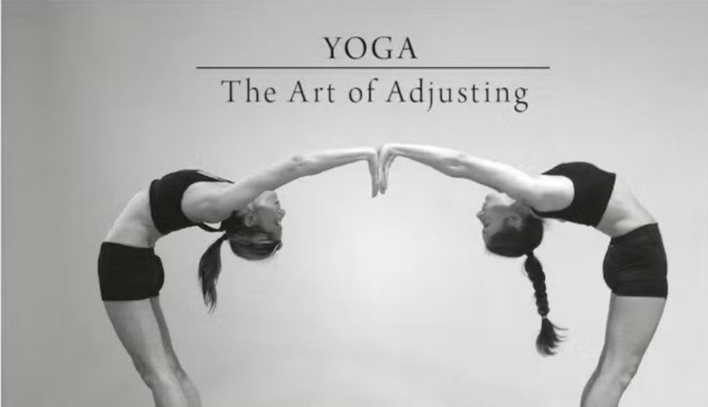 Partner Yoga: The Art of Adjusting Hardcover-spiral, Ophalen of Verzenden, Nieuw