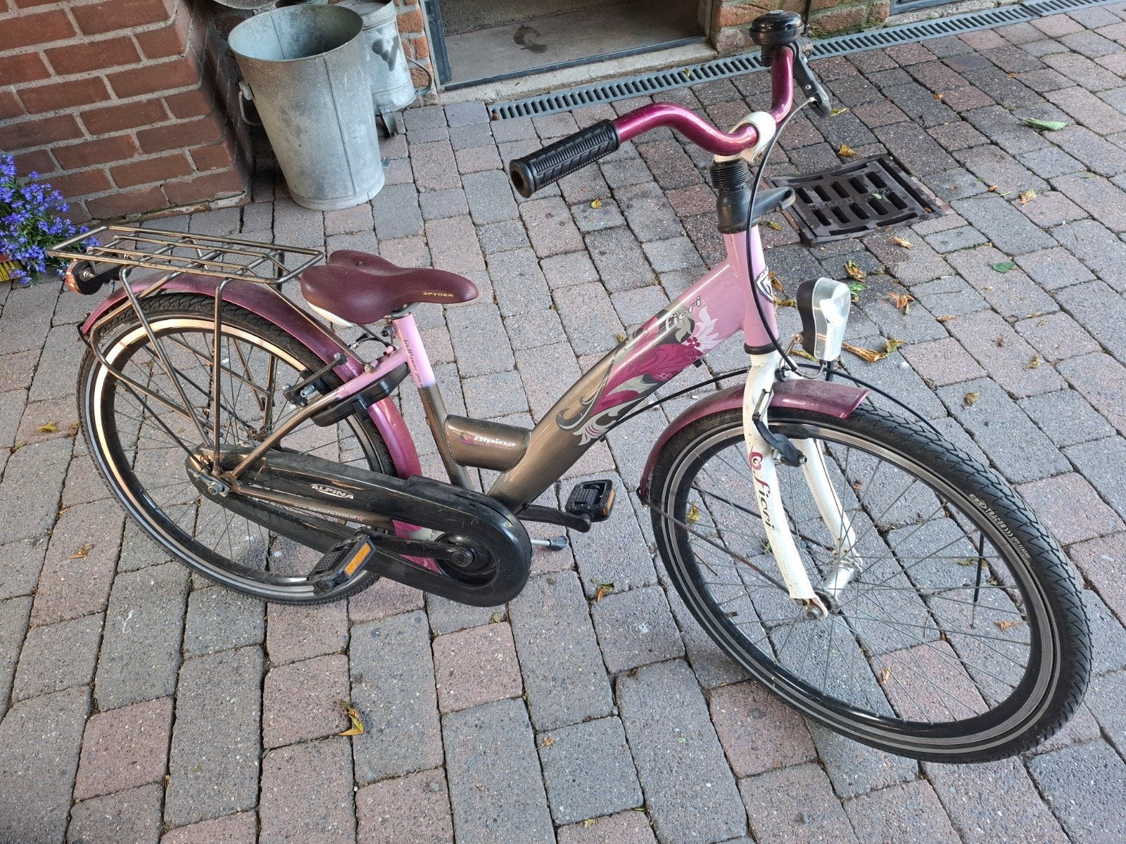 2 opknap fietsen van alpina 24 inch, Ophalen, Gebruikt, 20 inch of meer