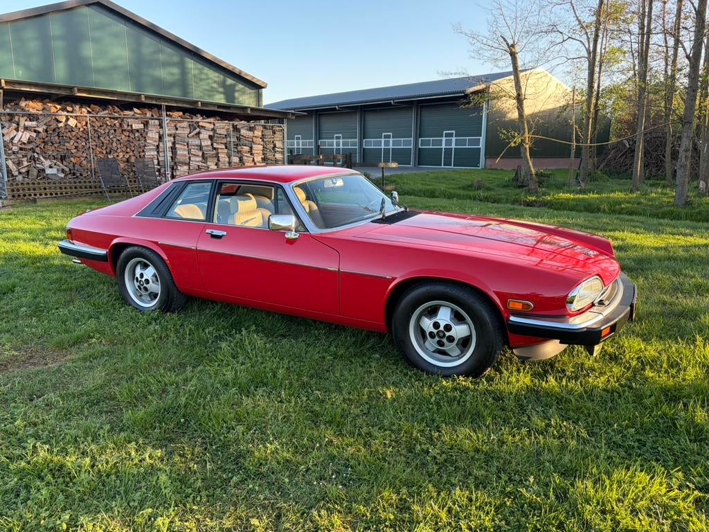 Jaguar XJS 5.3 HE AUT 1985 Rood v12 als nieuw!!, Automaat, Beige, Leder, Particulier