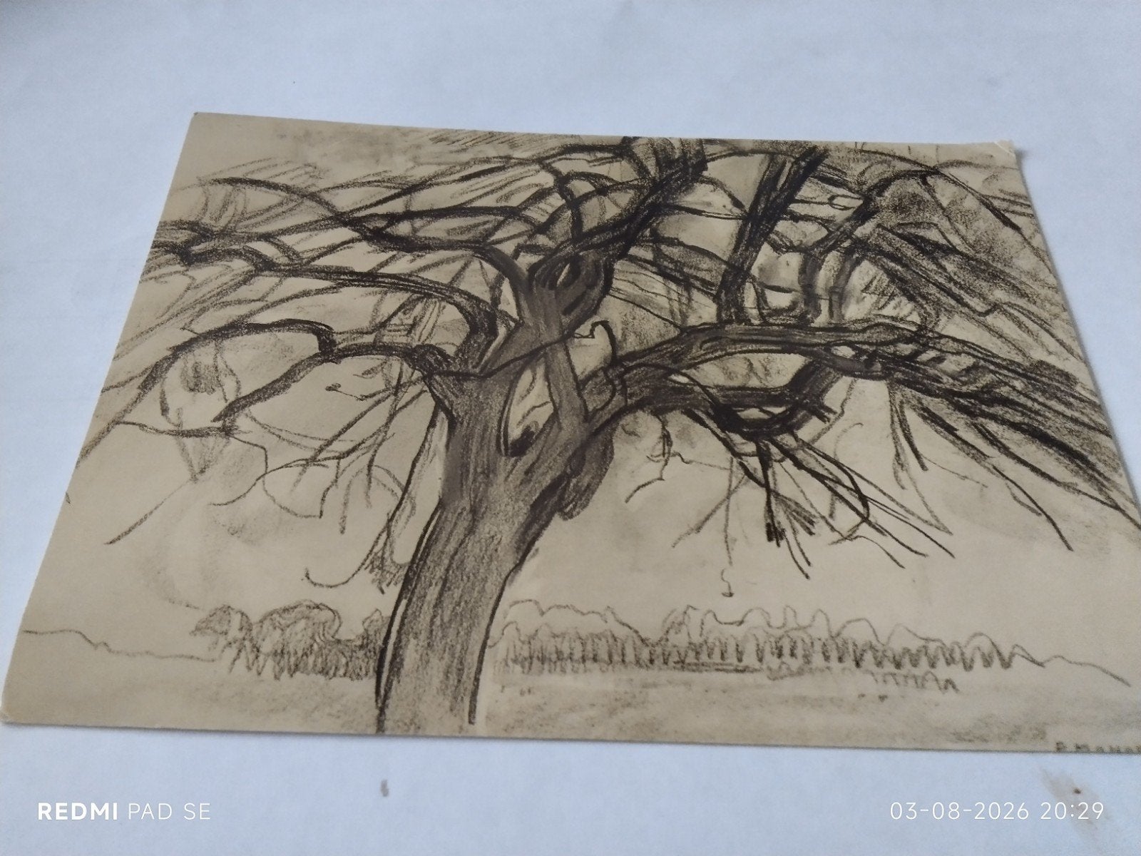 P. Mondriaan - Tree I (Boom I) - Reproductie/ ANSICHTKAART., Ophalen of Verzenden, 1980 tot heden, Overige thema's