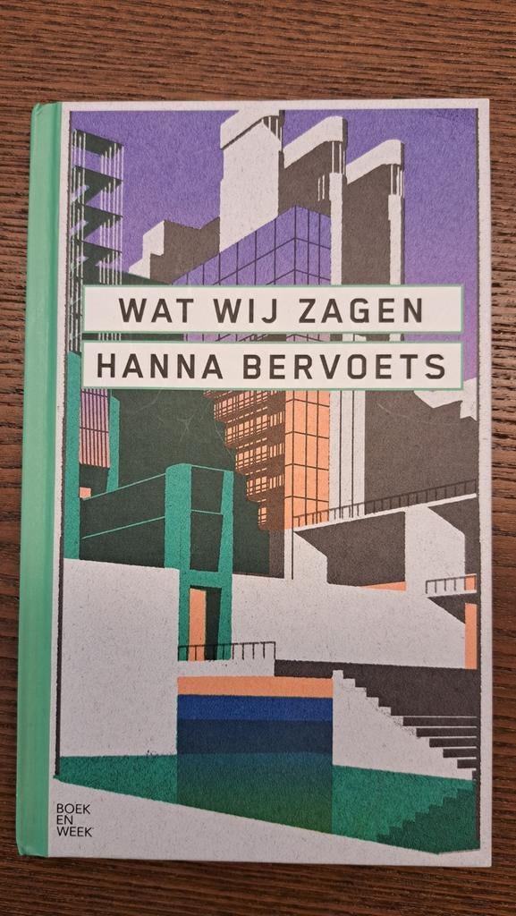 Boekenweekgeschenk: Wat Wij Zagen - Hanna Bervoets, Boeken, Ophalen of Verzenden, Hanna Bervoets