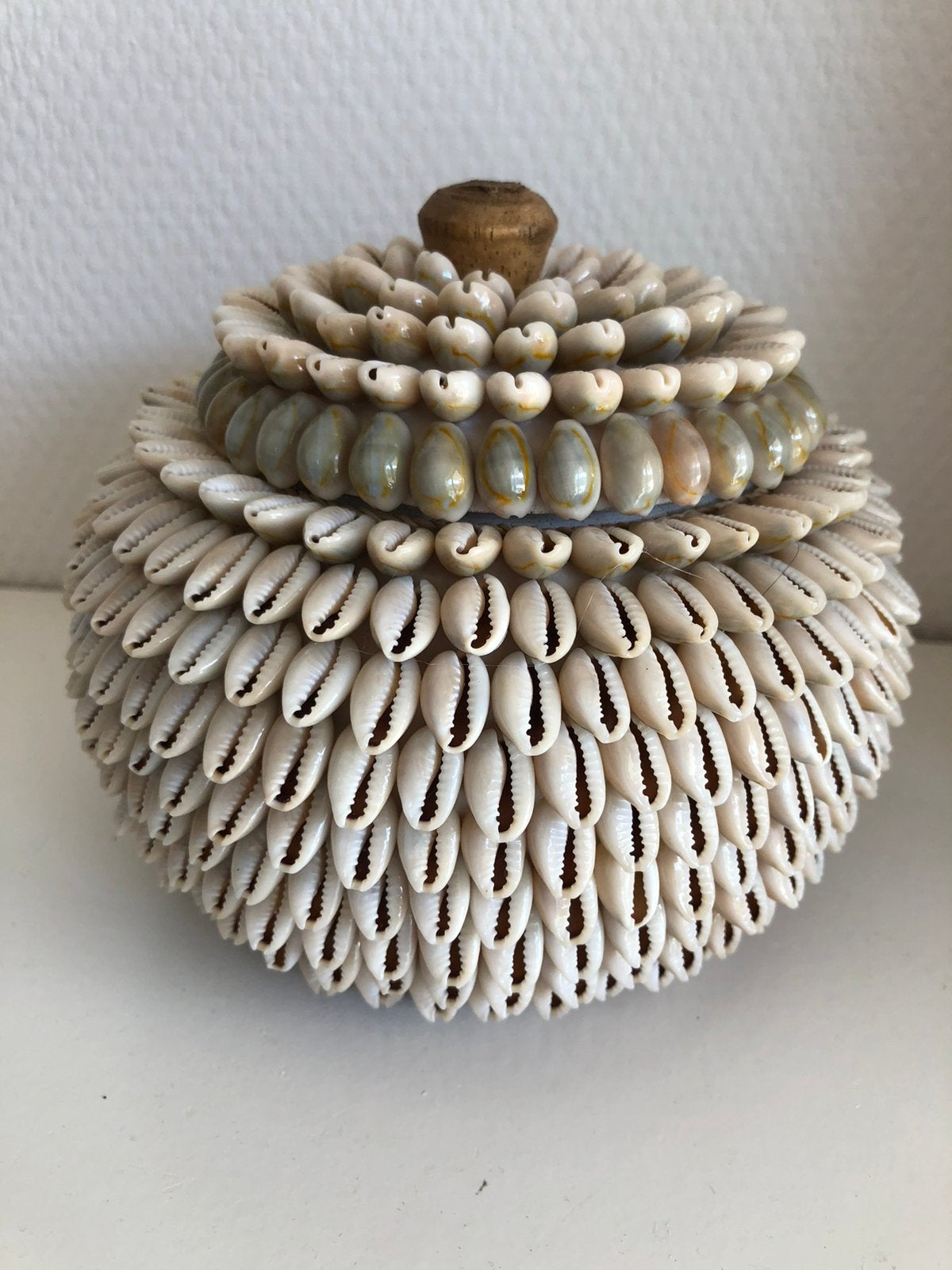 Mooi kauri schelp pot potje bakje deksel nieuw, Huis en Inrichting, Ophalen of Verzenden, Nieuw
