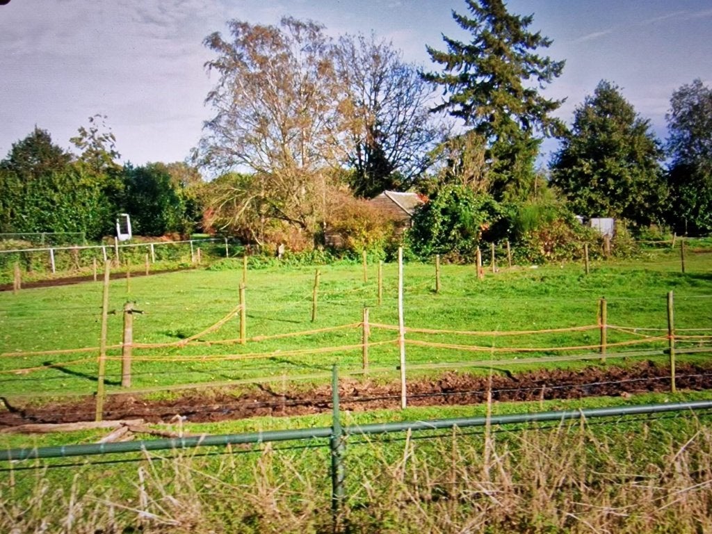 te koop weiland gemeente Weert, met stal, water en elektra