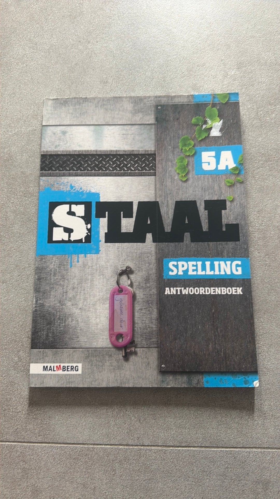 Staal boeken groep 5, Ophalen of Verzenden