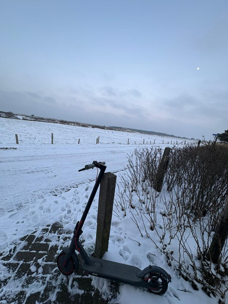 Elektrische step, Fietsen en Brommers, Ophalen of Verzenden, Elektrische step (E-scooter)