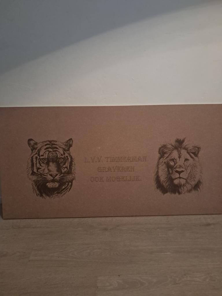 Handgemaakte wanddecoratie, Ophalen of Verzenden, Nieuw