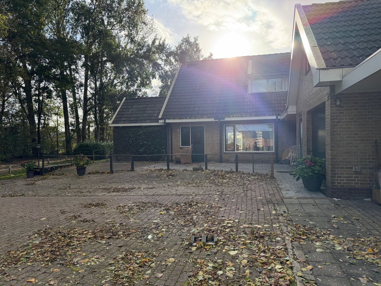 Gebruikt gaashekwerk met poort, Ophalen, Met poort, Gebruikt, Gaashekwerk