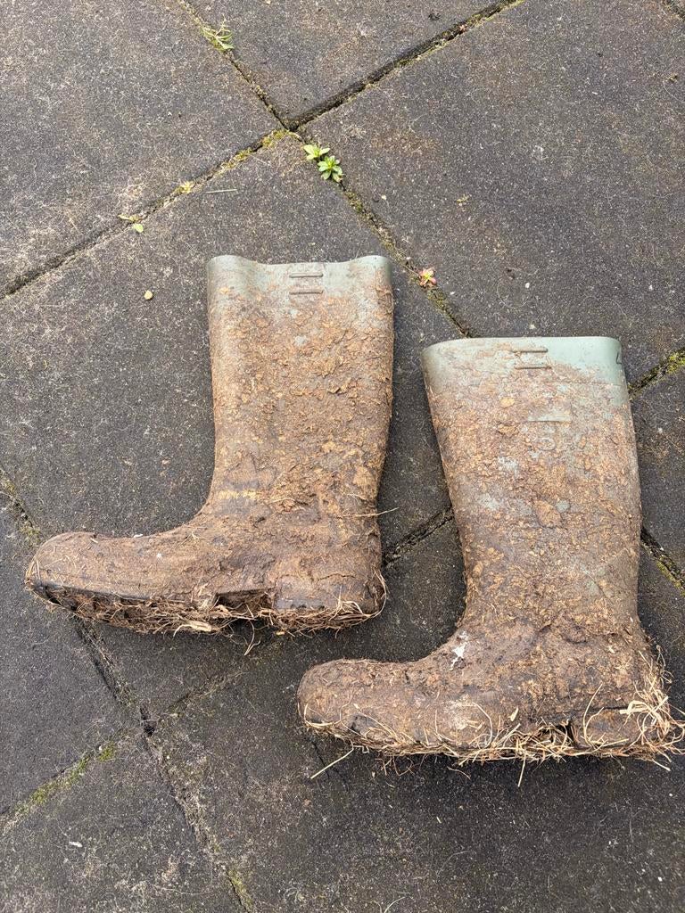 Stal laarzen, Dieren en Toebehoren, Ophalen of Verzenden, Gebruikt