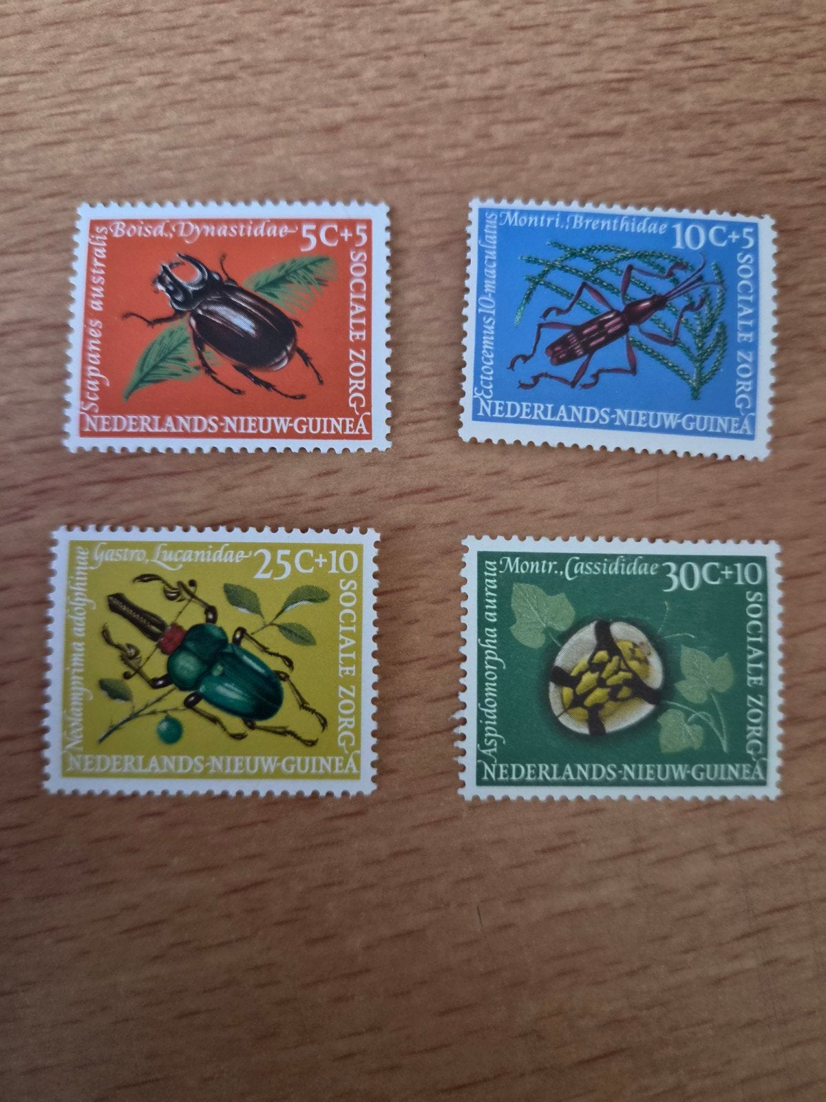 Nieuw Guinea, Ophalen of Verzenden