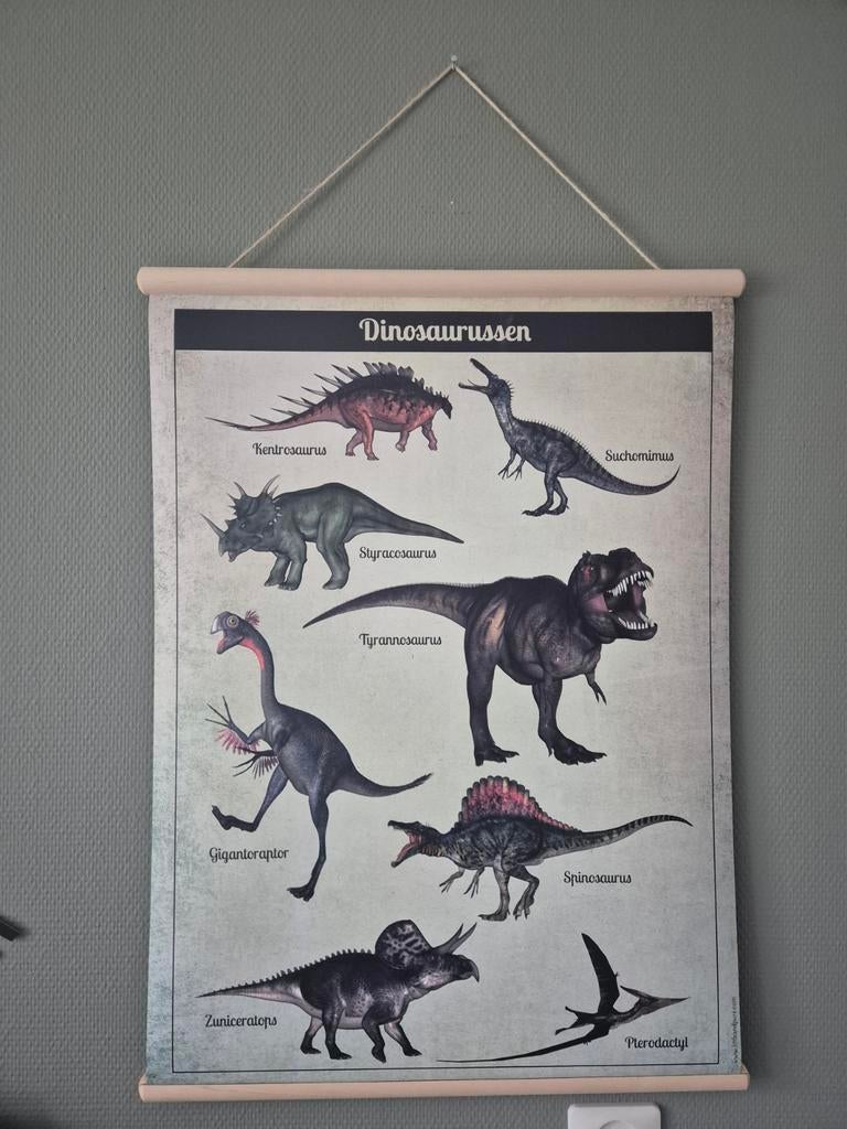 Dubbelzijdige schoolplaat: Dinosaurussoorten en skeletten, Ophalen of Verzenden, Natuur en Biologie