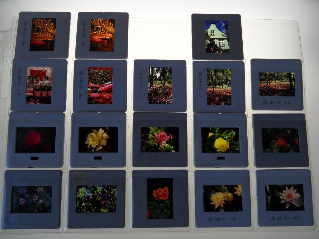 bloemen  18x  dia  helder en scherp  in beschermhoesjes, Verzenden, 1980 tot heden, Foto, Zo goed als nieuw