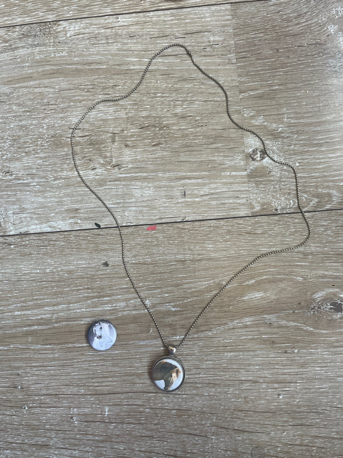 Magnetische paarden ketting, Sieraden, Tassen en Uiterlijk, Kettingen, Gebruikt, Verzenden, Zilver, Overige materialen