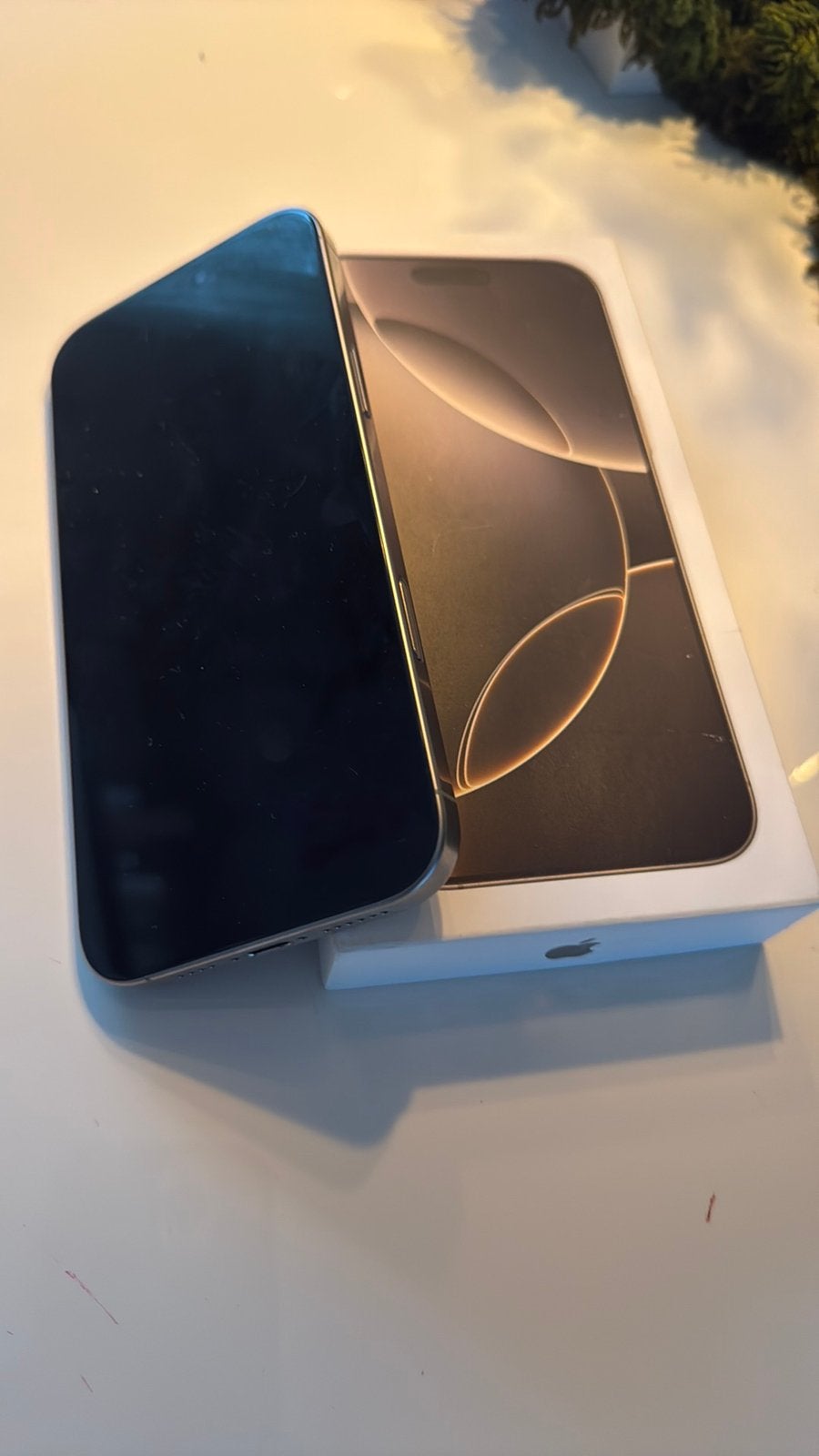 Apple iPhone 16 Pro Max