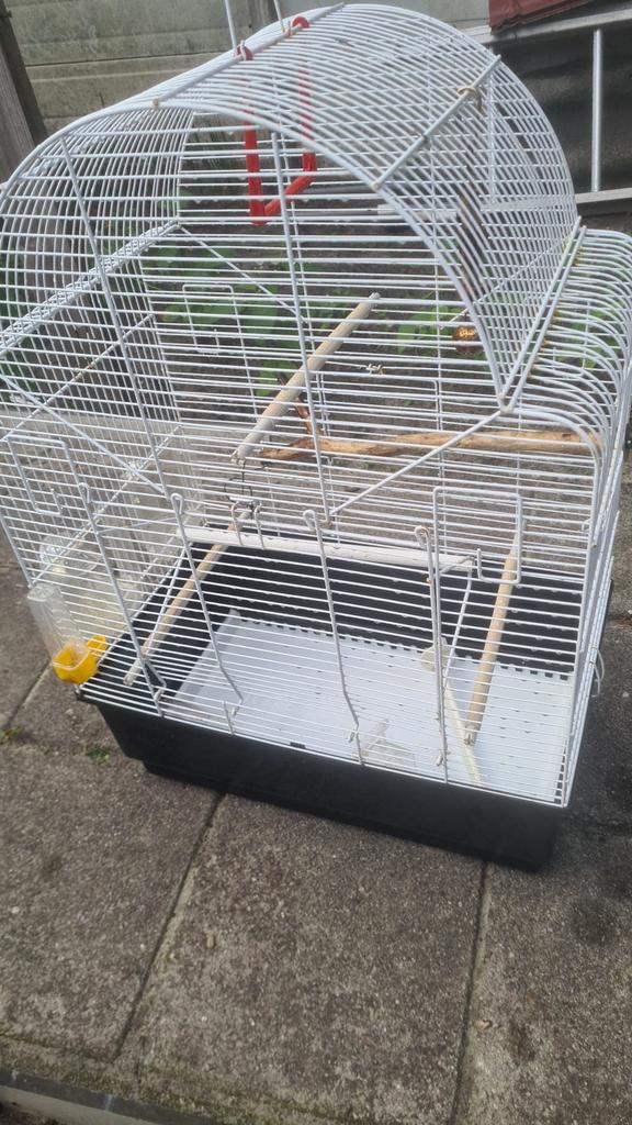 Witte Vogel kooi, Dieren en Toebehoren, Vogels | Hokken en Kooien, Ophalen, Zo goed als nieuw, Metaal, Vogelkooi