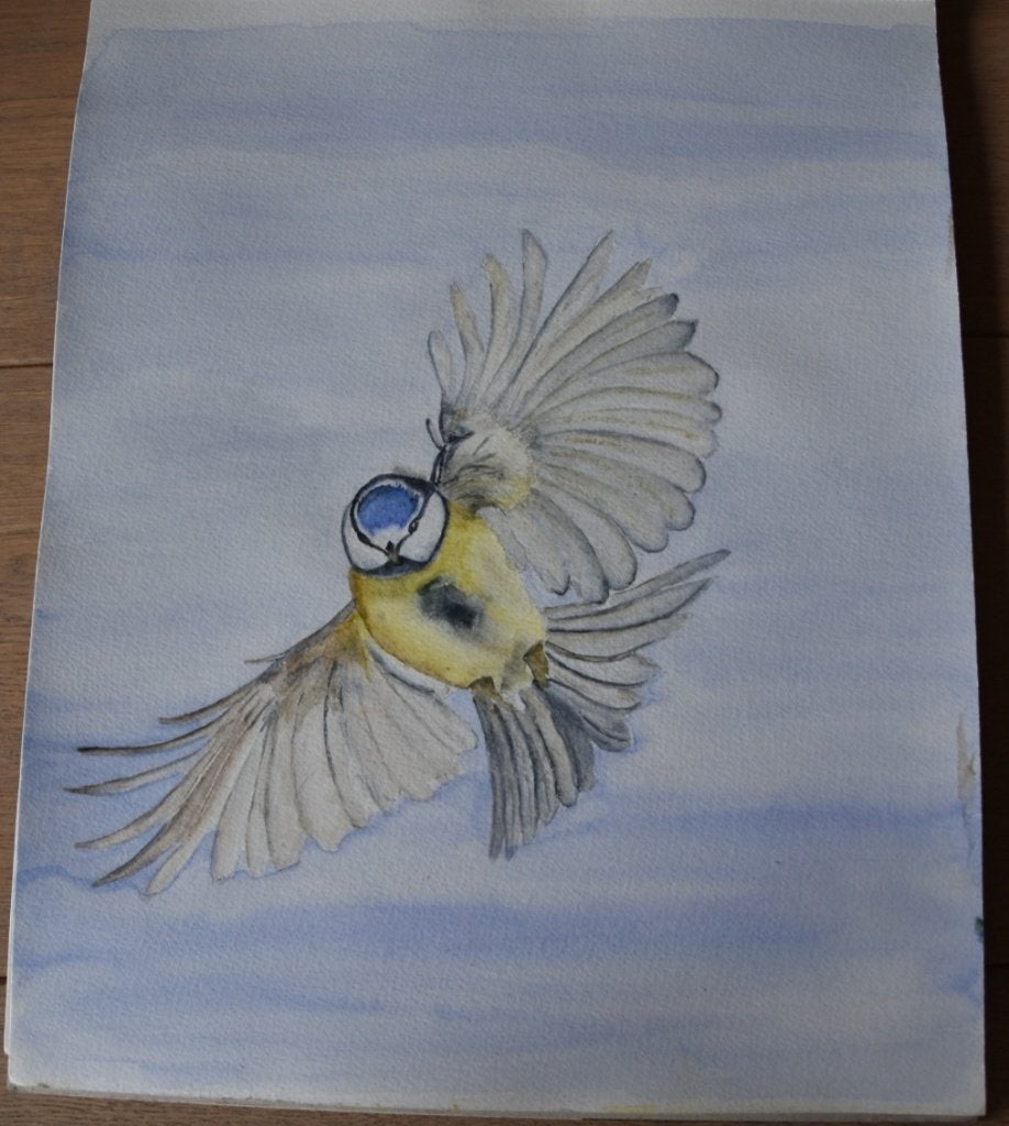 Handgemaakte aquarel van een vliegende pimpelmees, Ophalen, Realistisch, Dieren, Aquarel