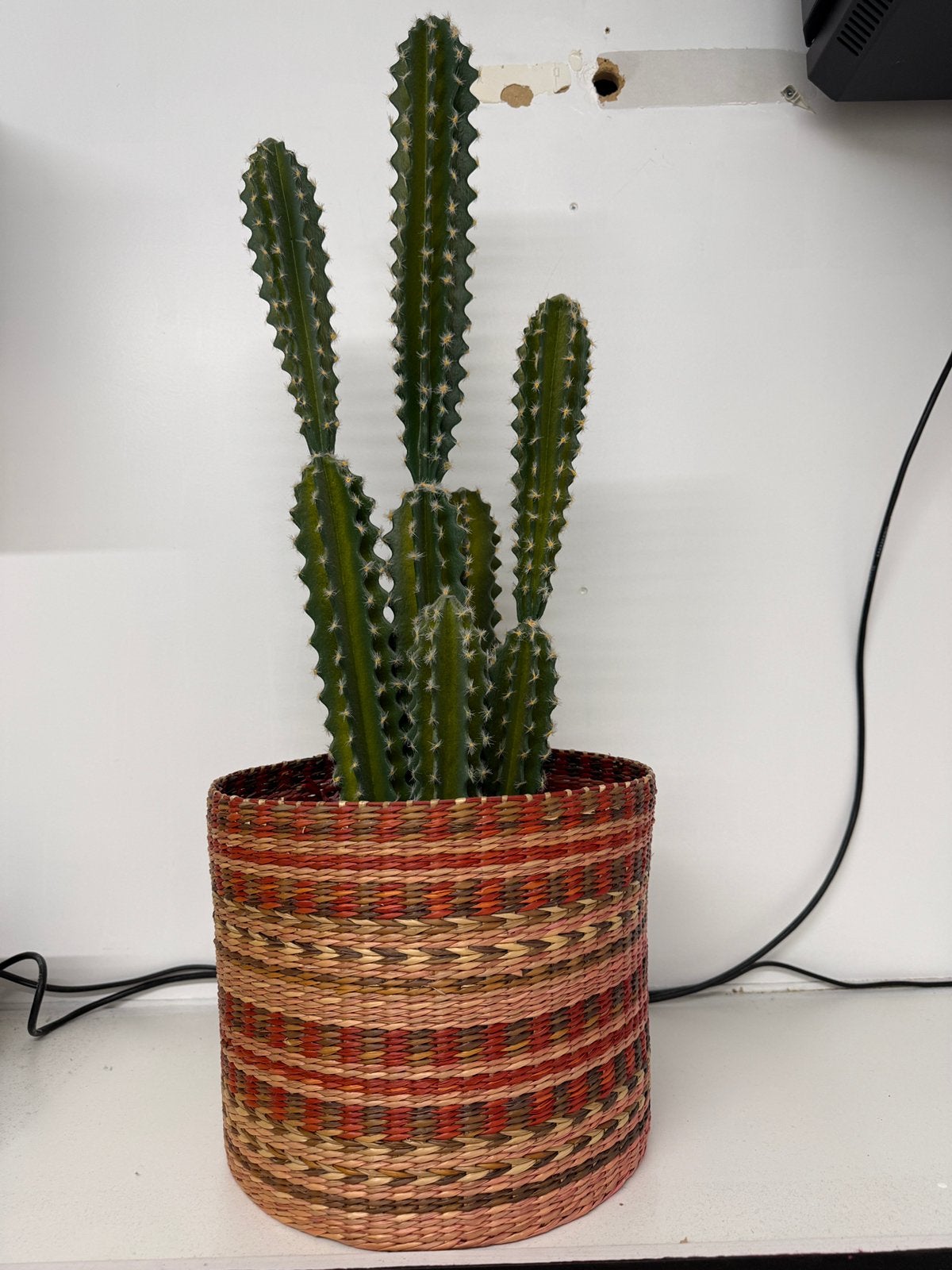 Cactus plant in ibiza sierpot kunstplant, Ophalen, Zo goed als nieuw